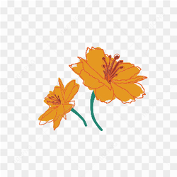 Graphical Image Type