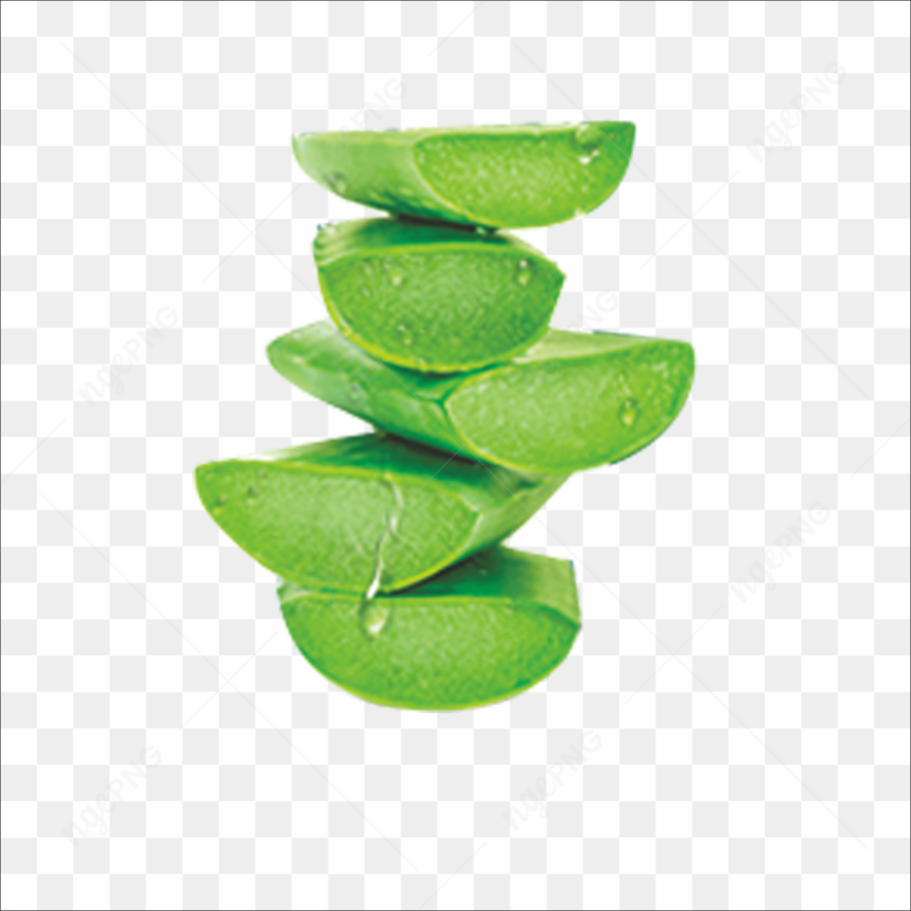 Aloe vera 002