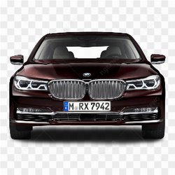 BMW Car Maroon