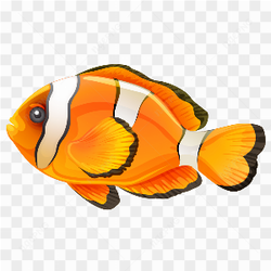 Finding Nemo clone Fish 