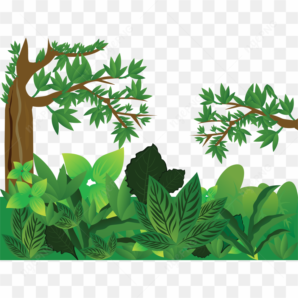Jungle drawing frame