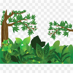 Jungle drawing frame