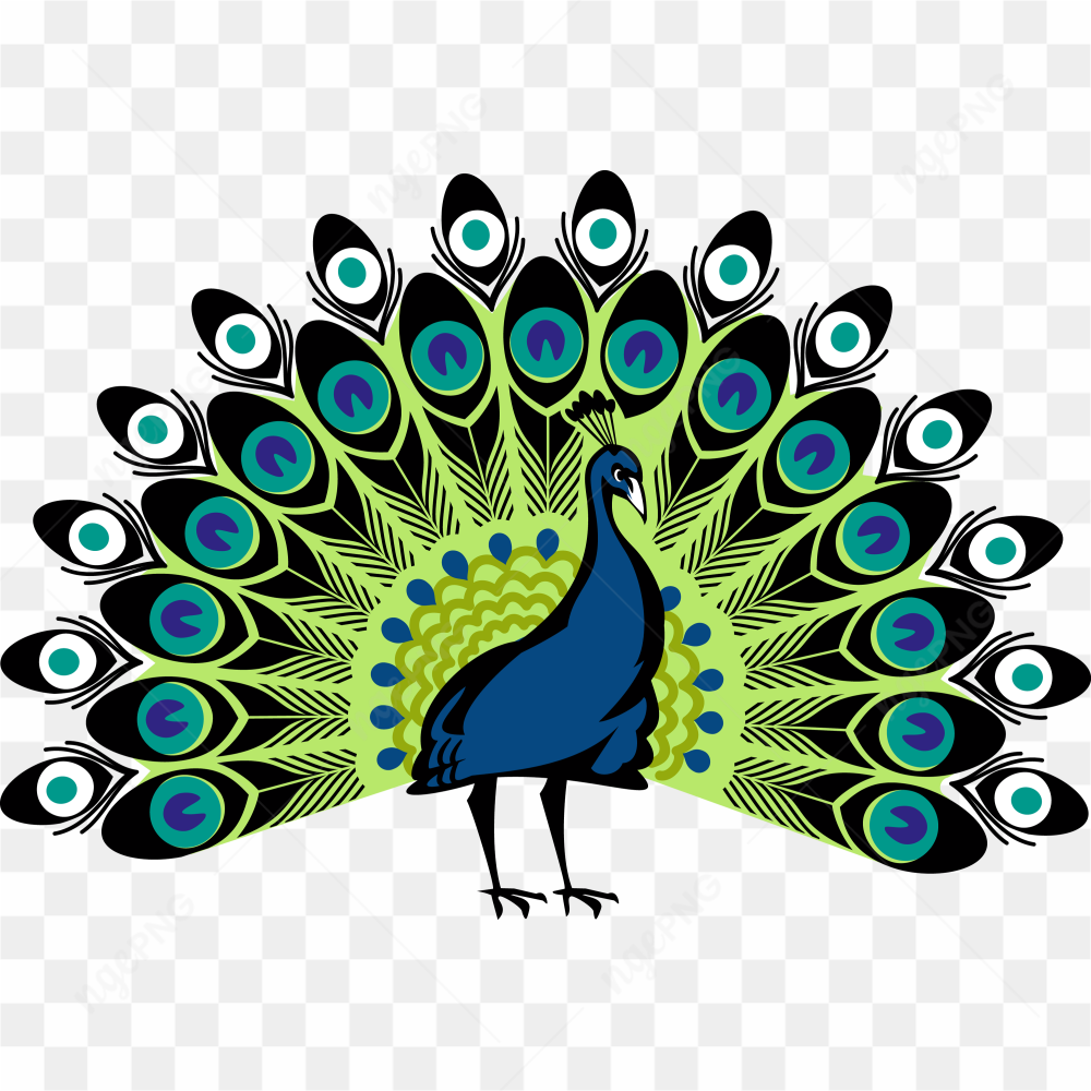 Peacock blue Green 01