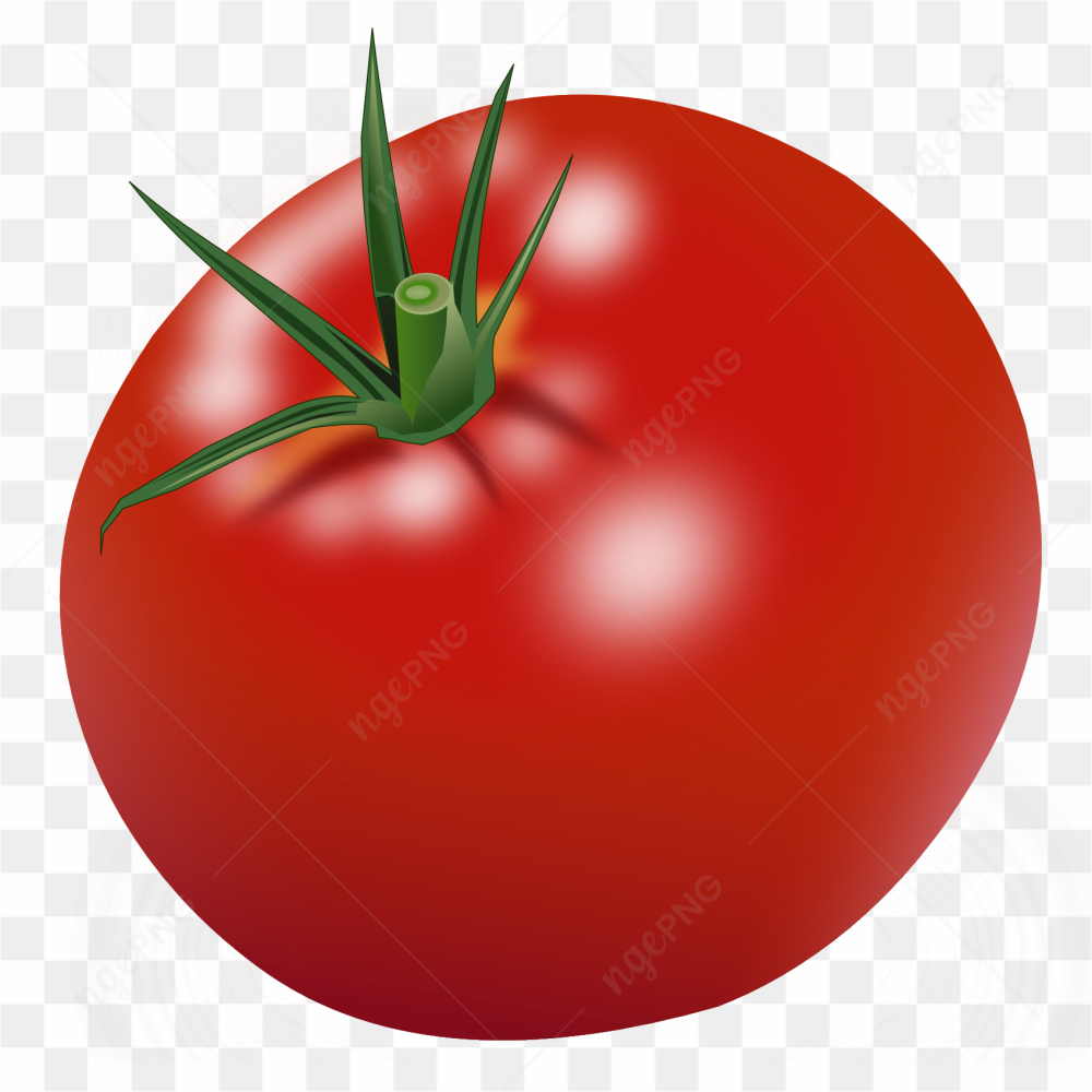 Tomato amazing photo 04