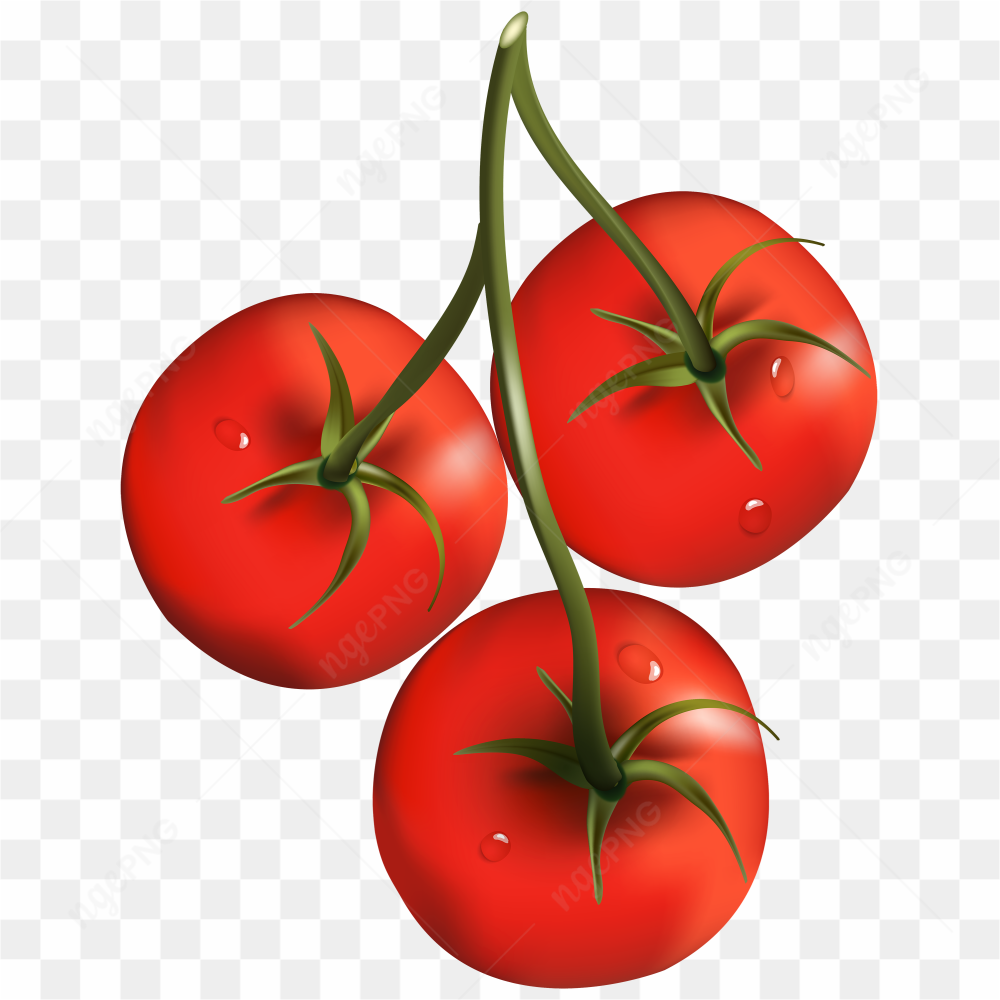 Tomato amazing photo 06