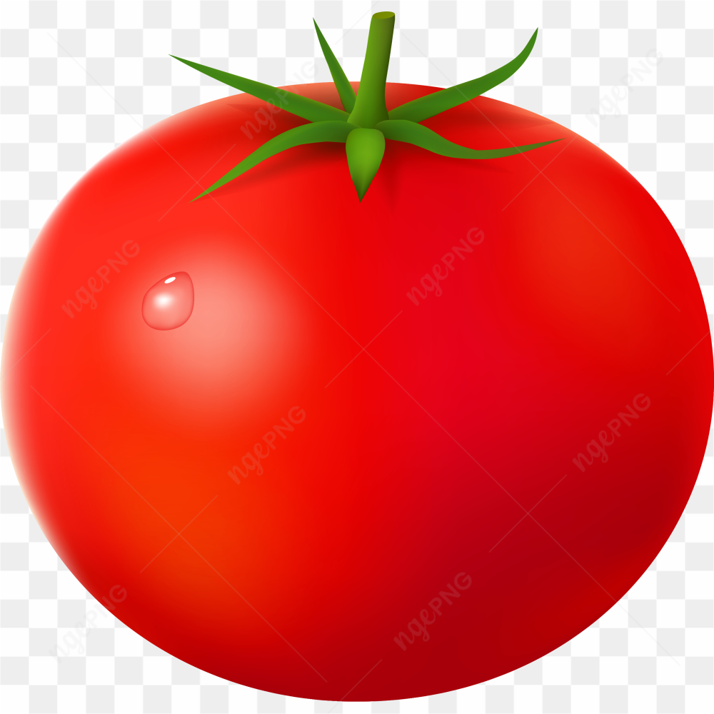 Tomato amazing photo 08