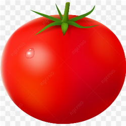 My tomato life