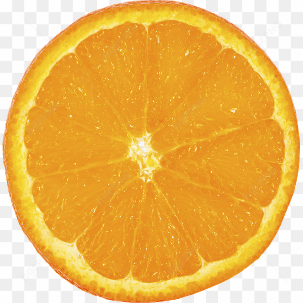 Photograph of an orange slice
