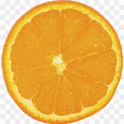 Photograph of an orange slice
