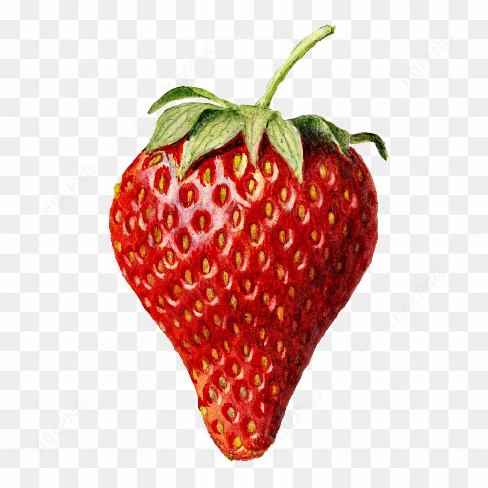 Photograph of a ripe strawberry
