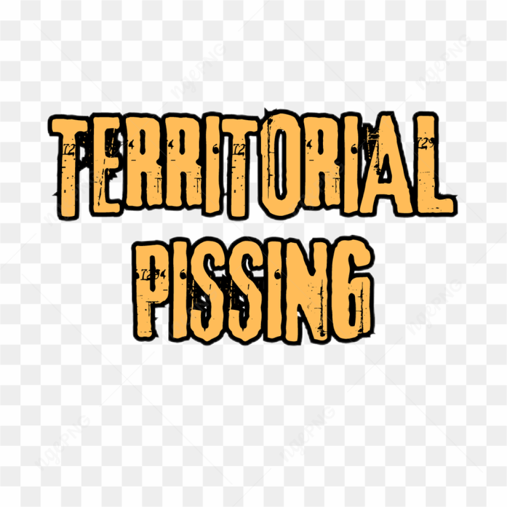Territorial Pissings Nirvana Quote Sticker Tshirt