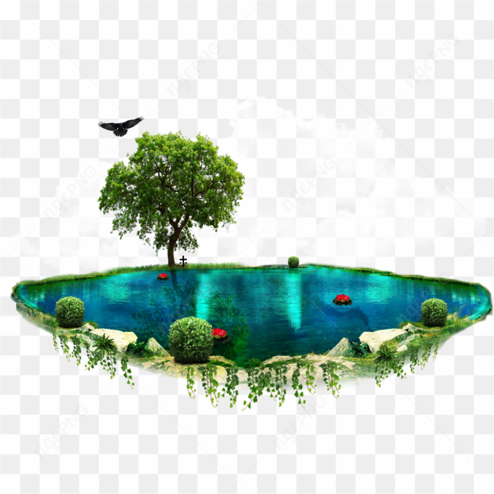 Tree near Lake