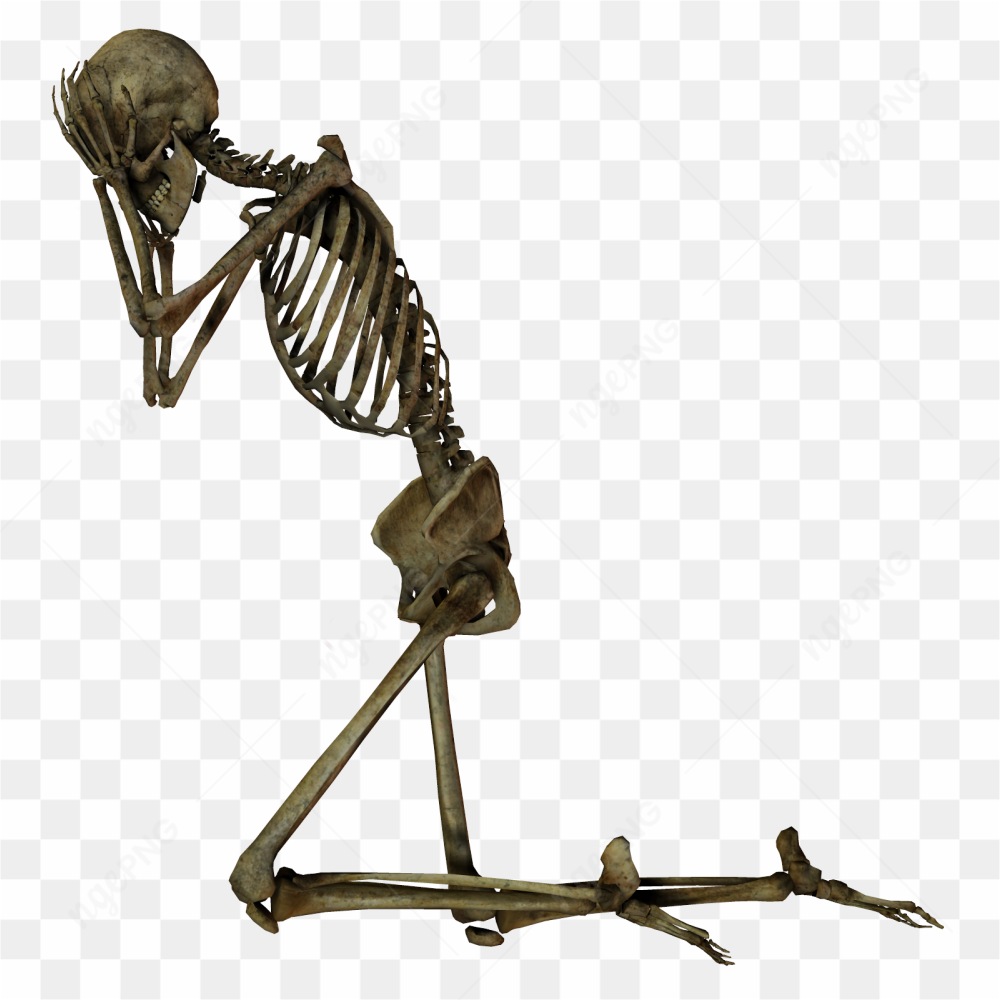 Human Skeleton in Tenson