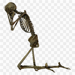 Human Skeleton in Tenson