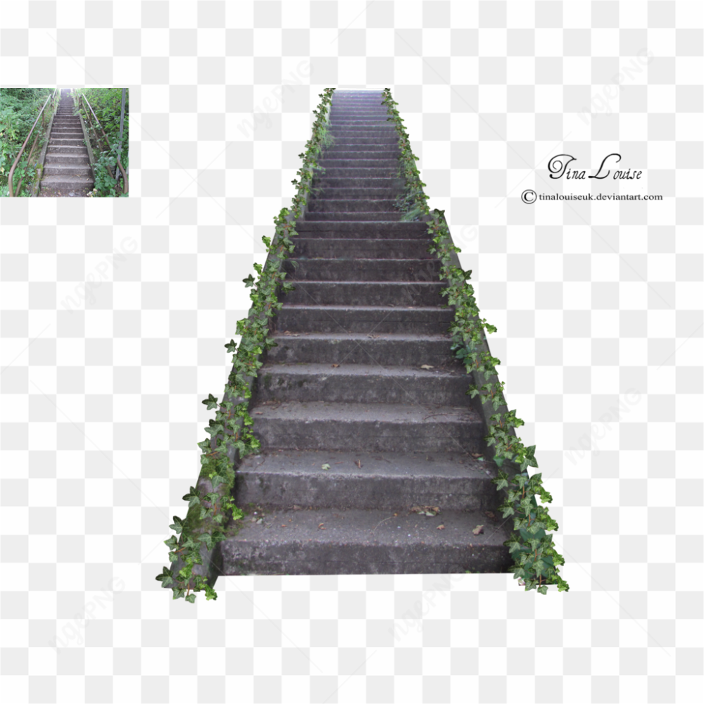 Concrete Stairs with leave