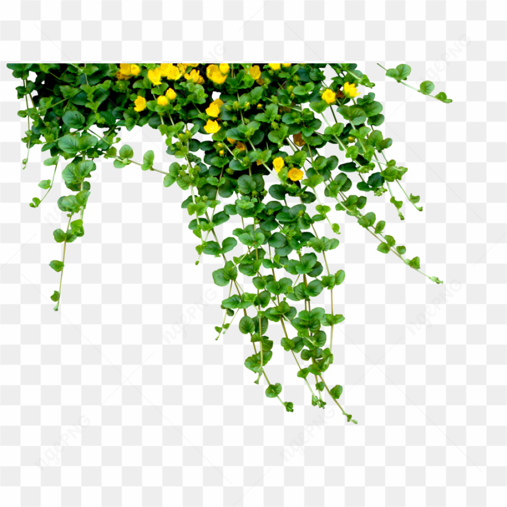 Yellow Flower Decoration