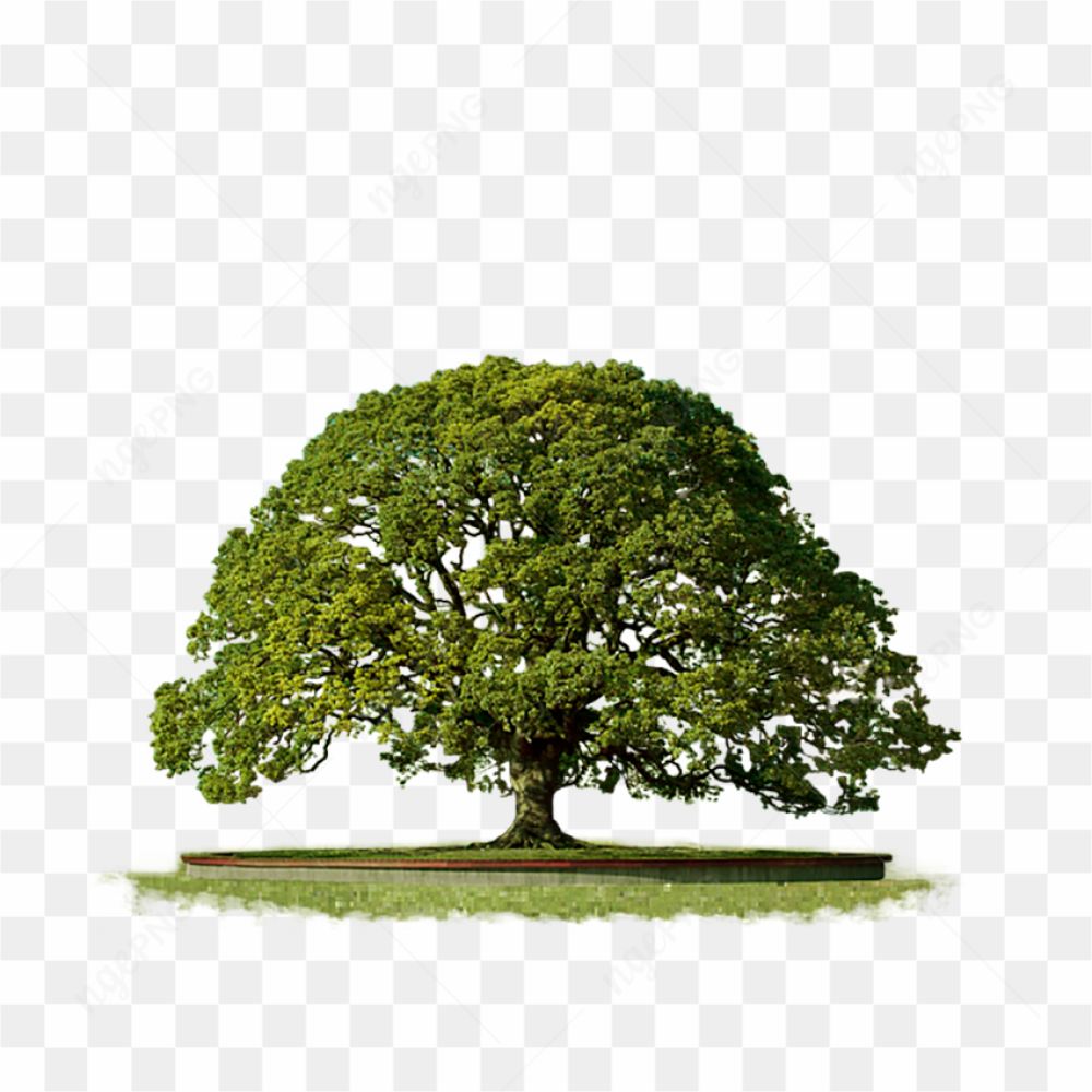Big Green Tree