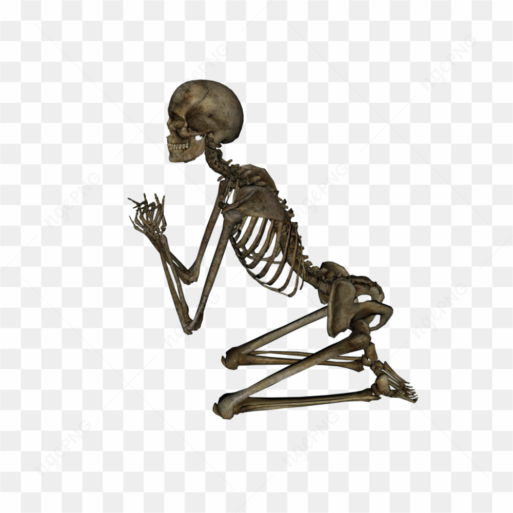 Human Skeleton Kneeling