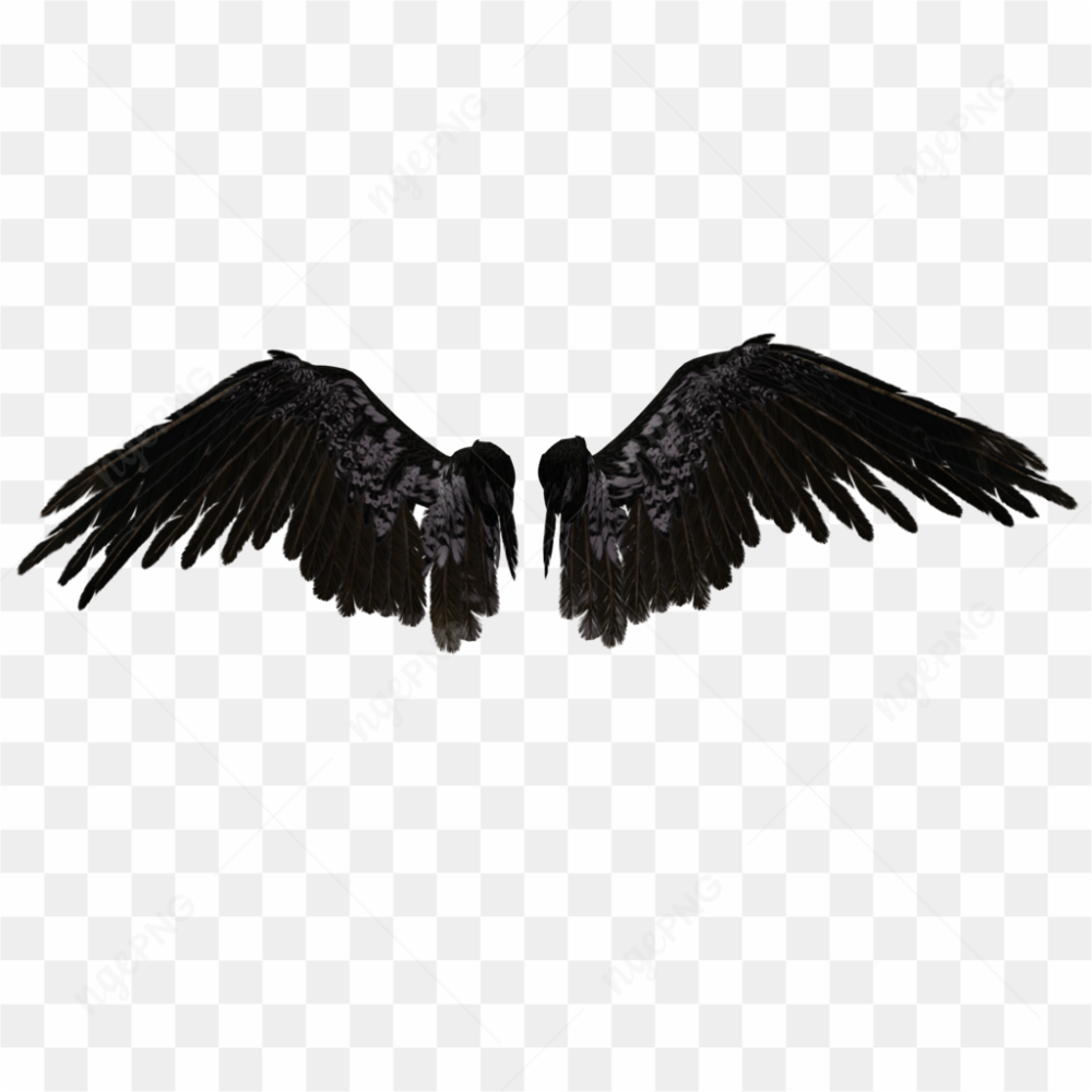 Angel Black Wing