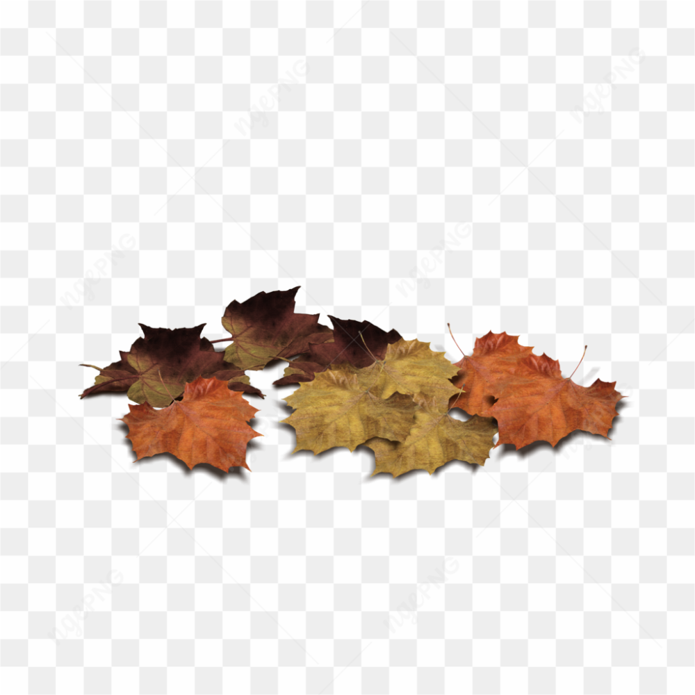 Dead Tree Leaves