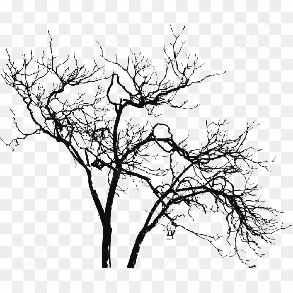 Beautiful Dead Tree