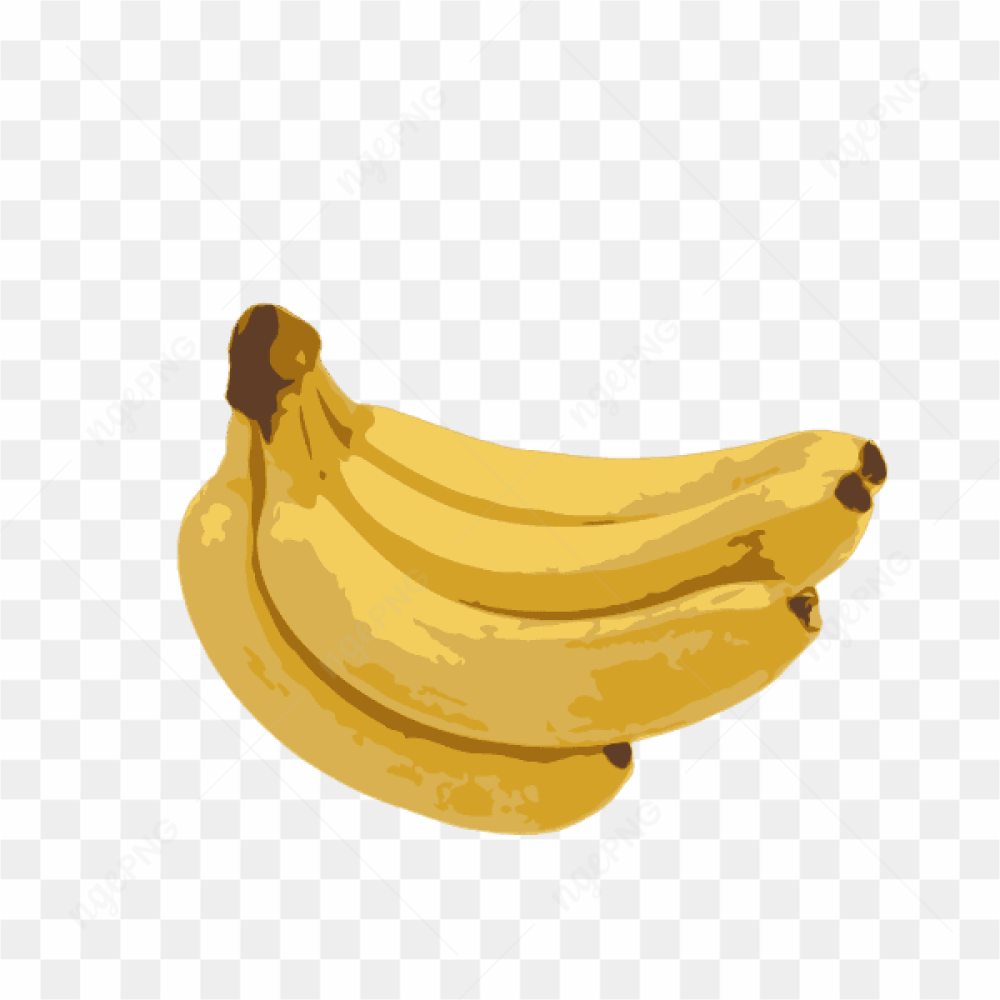 Vector Banana Fruit 