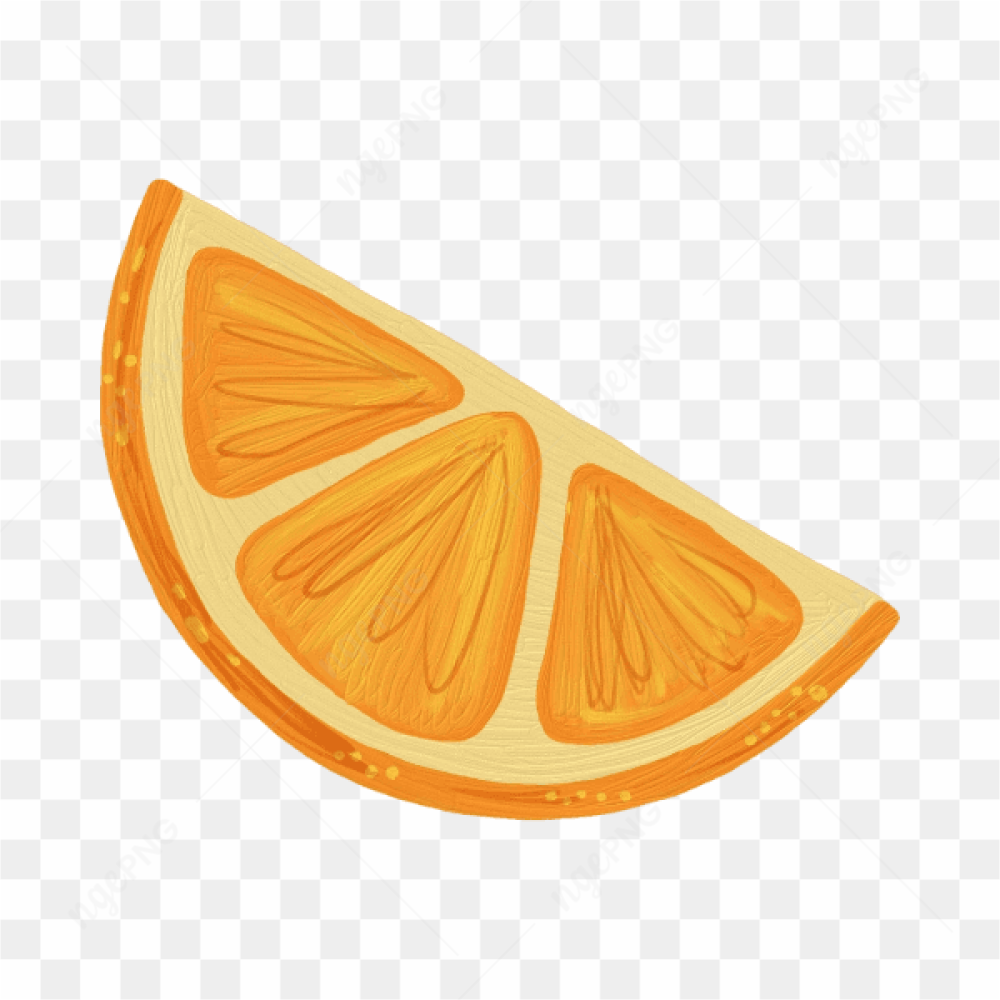 Vector Slice Orange Fruit