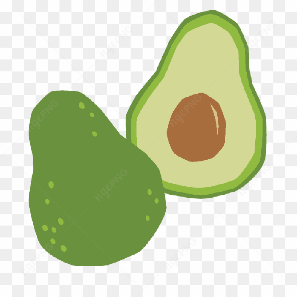 Vector Avocado Green Fresh Fruit