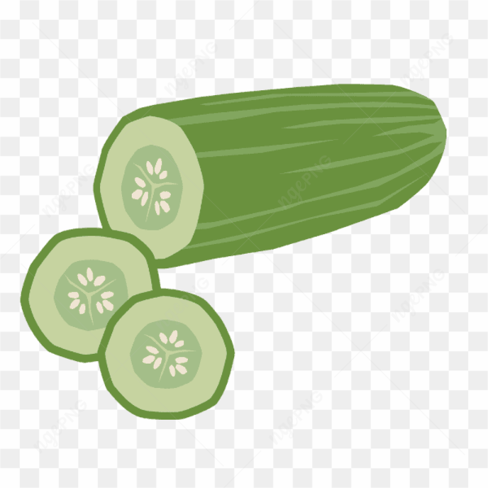 Vector Cucumber Fresh Vegetable