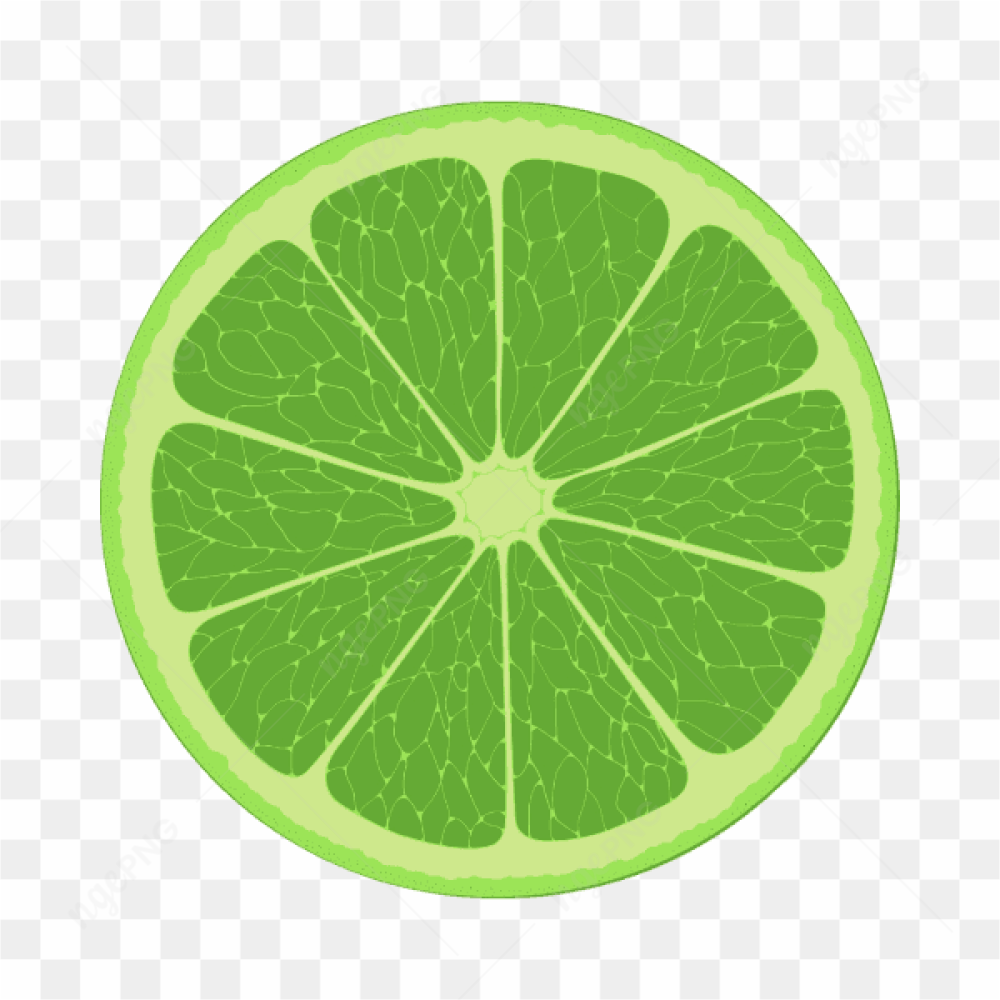 Vector Lime Slice Sour