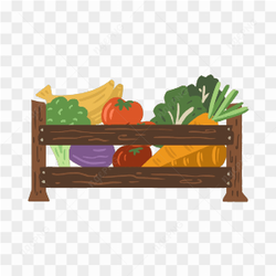 Vector Box Vegetable Carrot Tomato Broccoli Banana