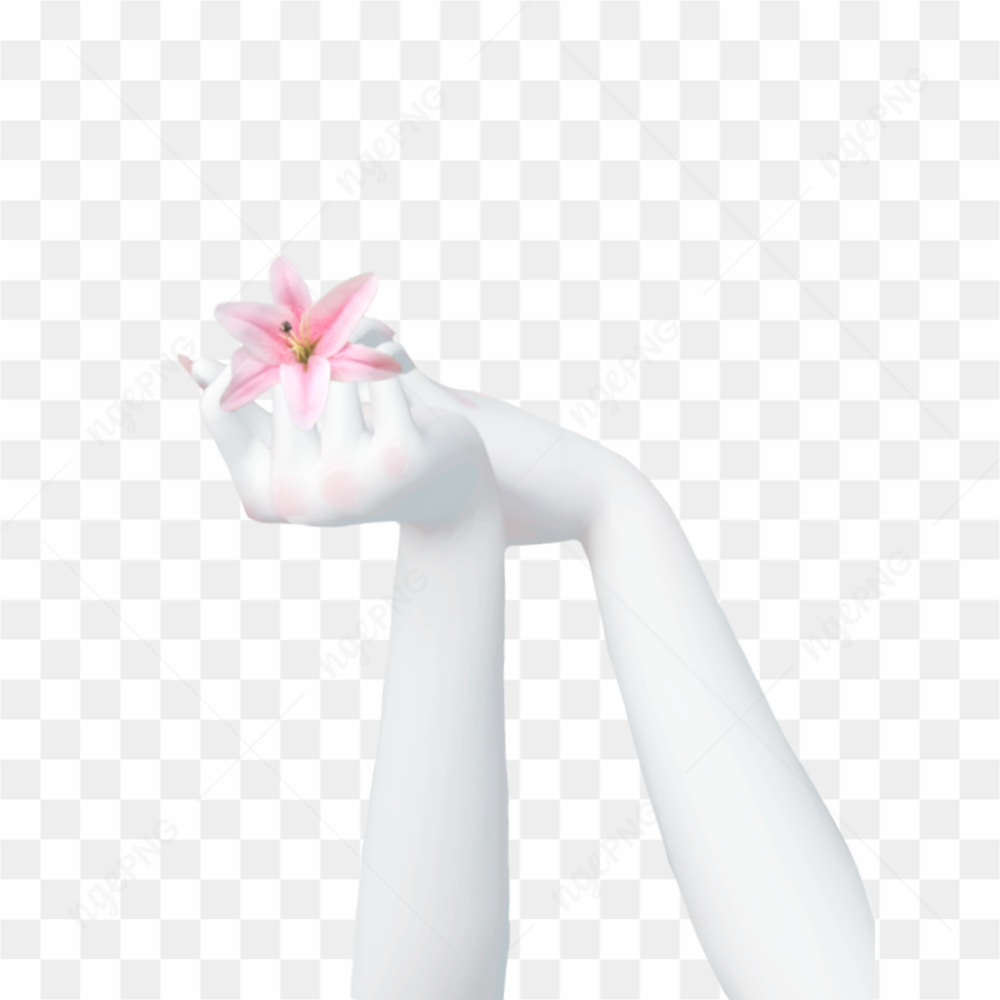 Hand Template Zepeto