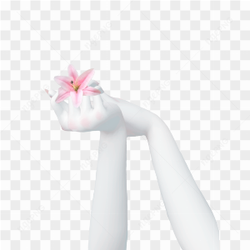 Hand Template Zepeto