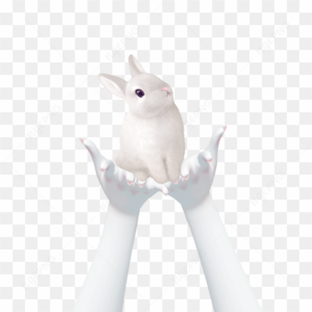 Hand Template Zepeto