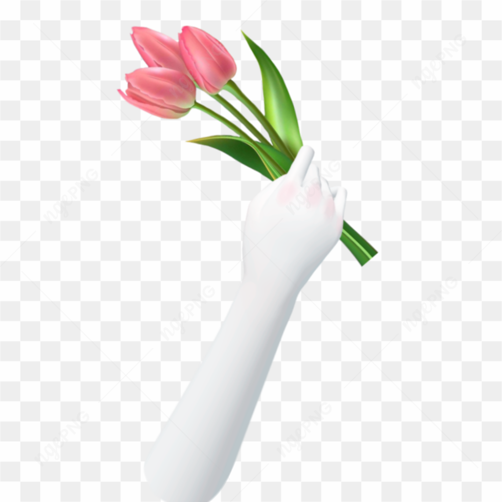 Hand Template Zepeto