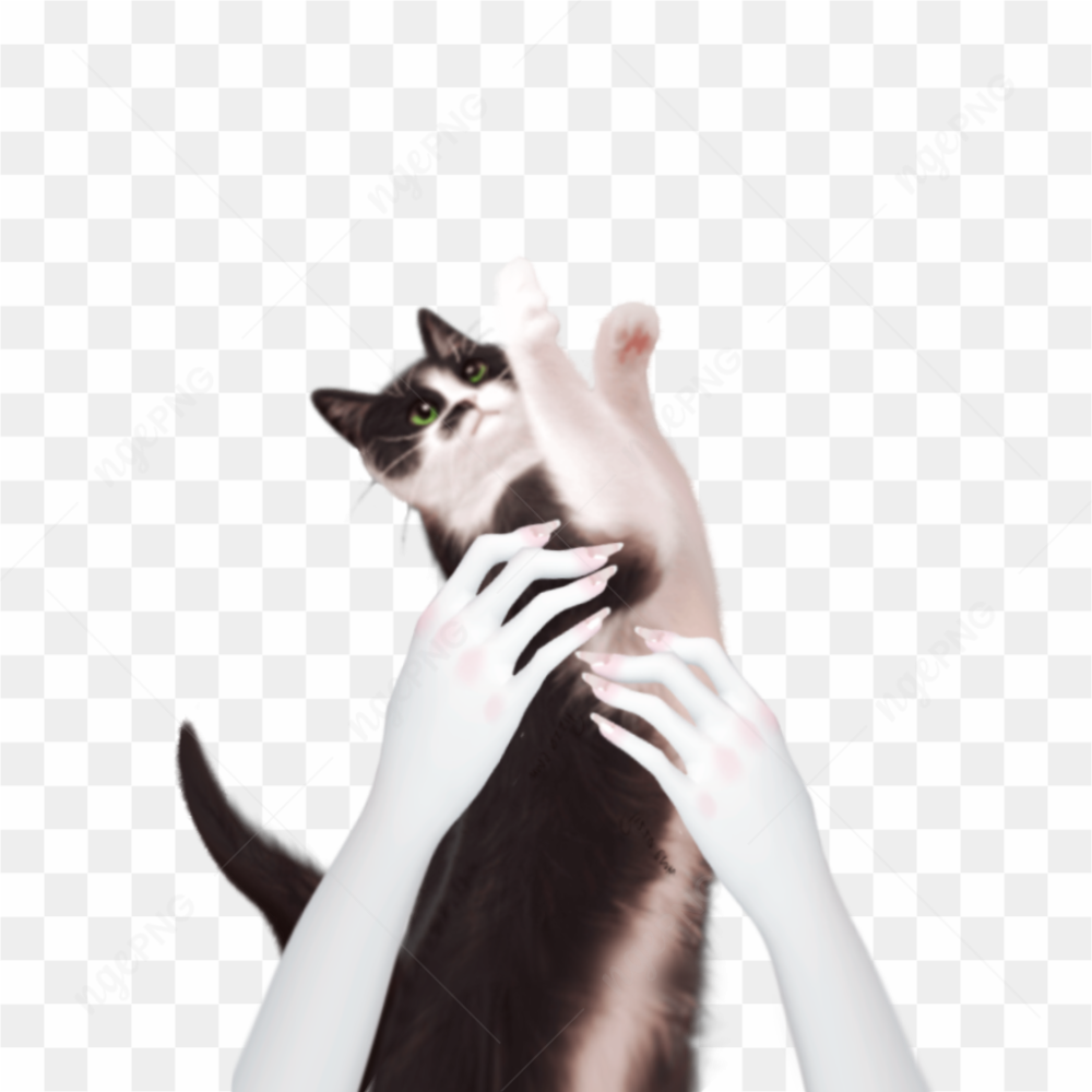 Hand Template Zepeto