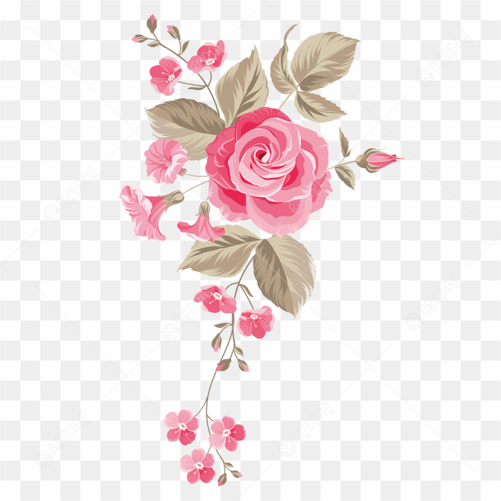 Garden Rose Centifolia Floral Art
